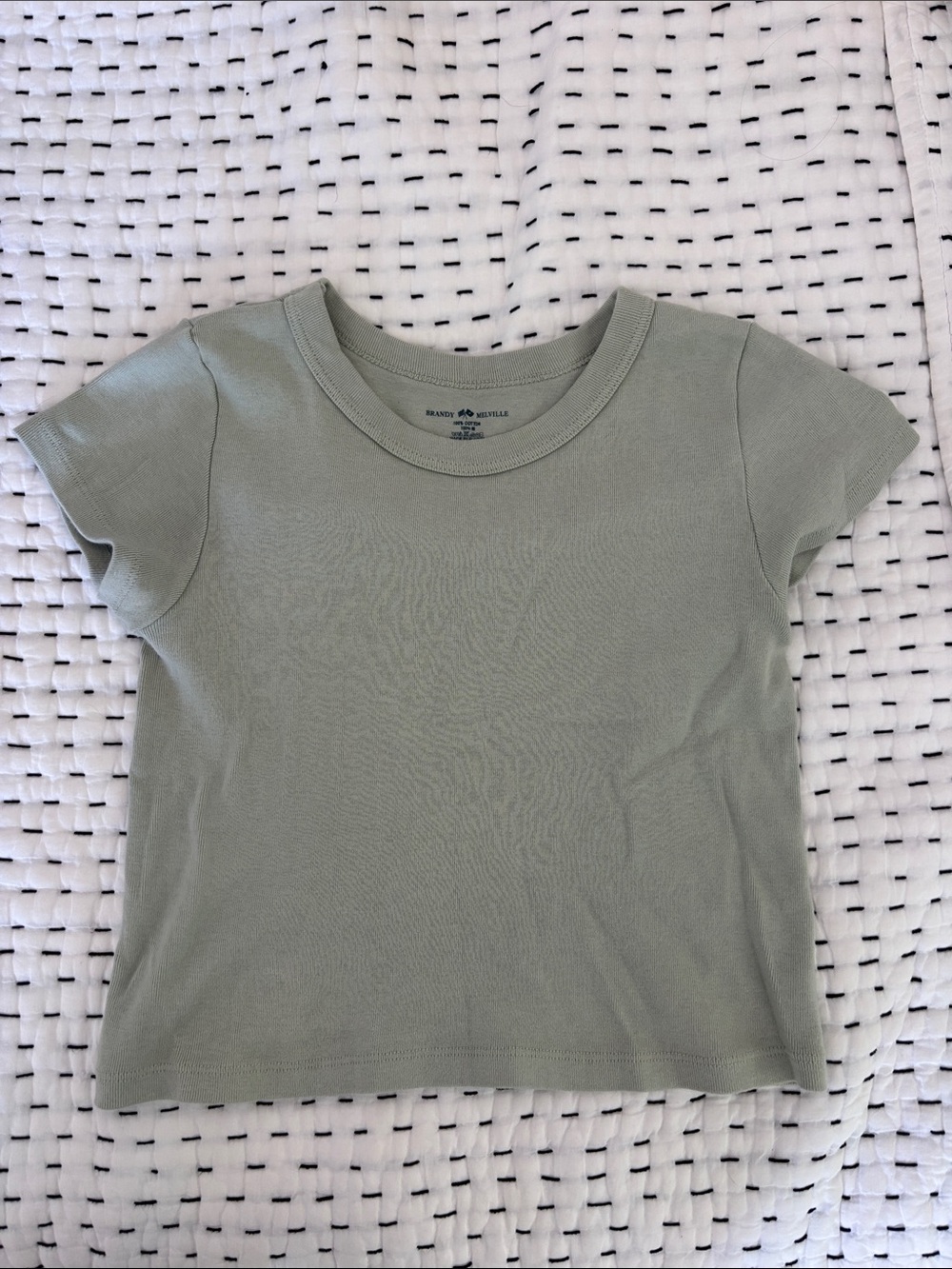 Brandy Melville Light Sage Short Sleeve Tee